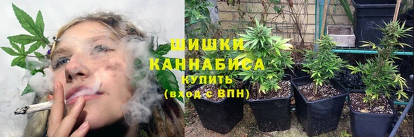 молекула духа Нея